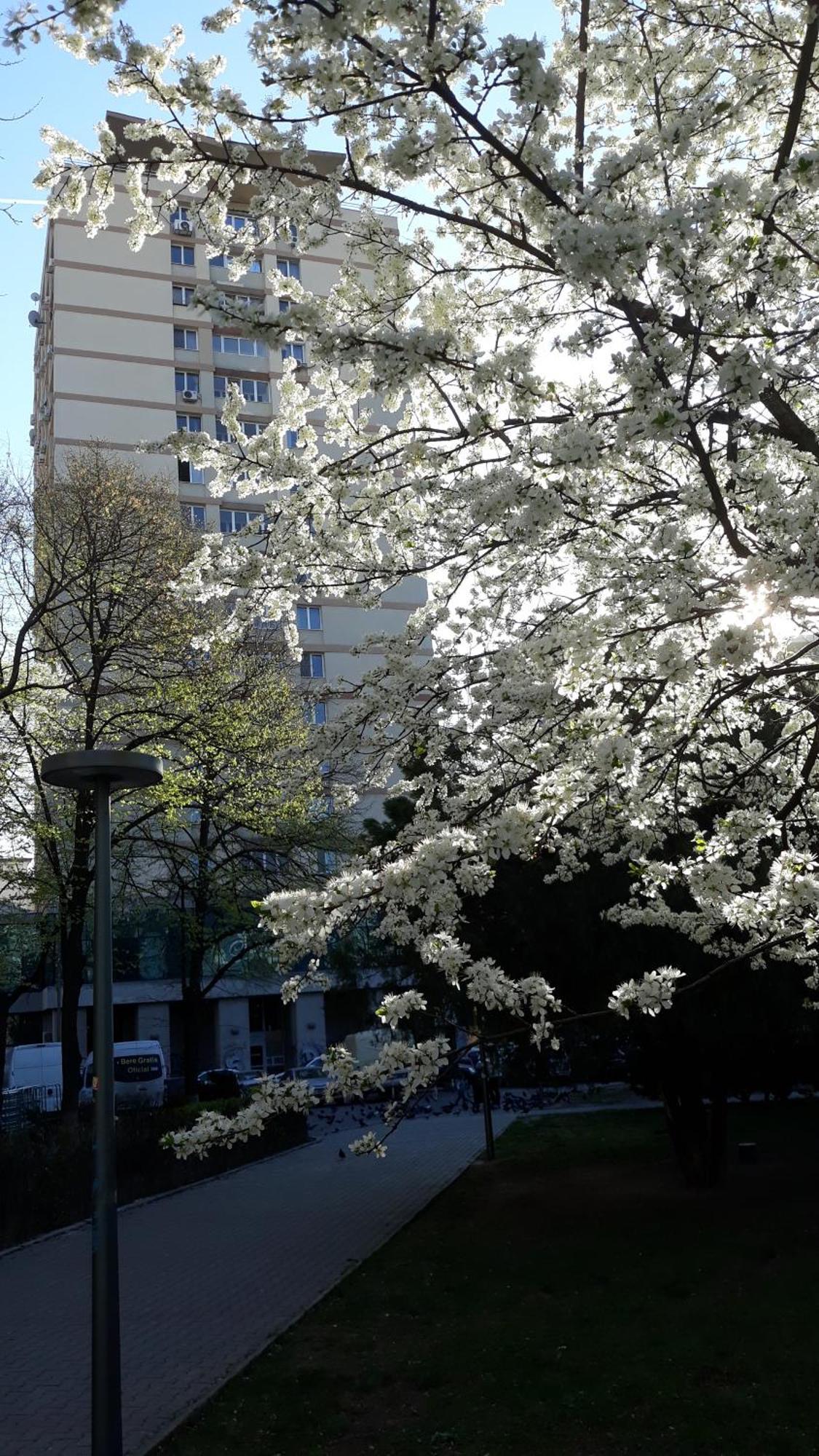 The Best Location Accommodation Bucareste Exterior foto