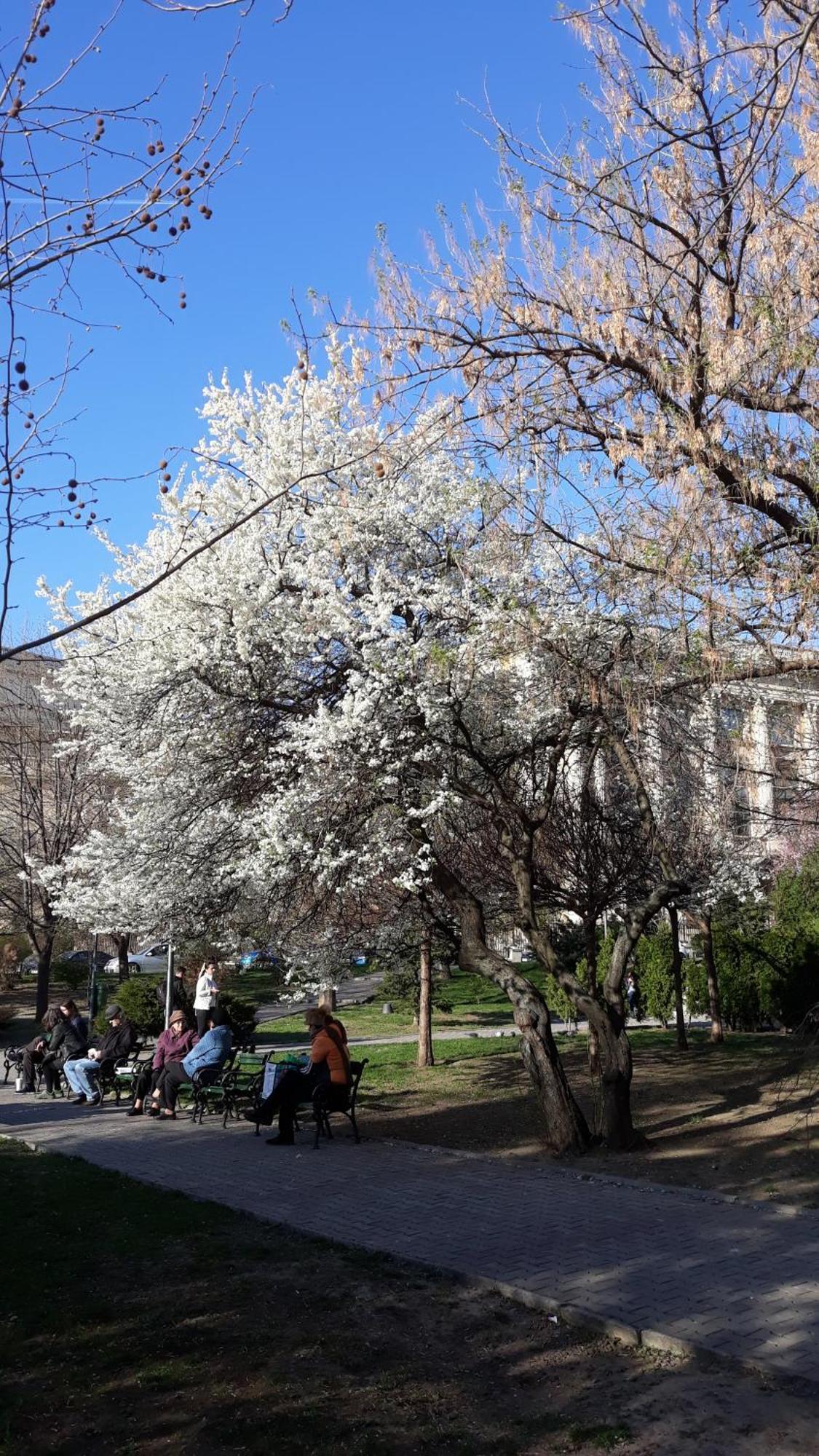 The Best Location Accommodation Bucareste Exterior foto